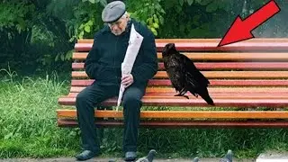 A lonely old man almost fainted when he saw what a huge raven brought