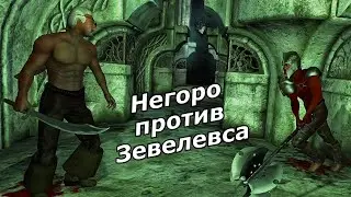 Негоро против Зевелевса