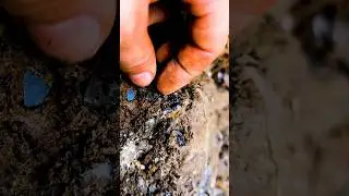 Gemmy Herks in the Dirt 💎