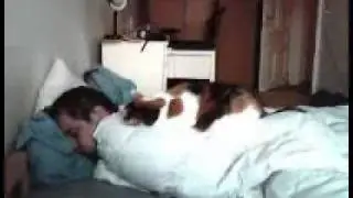 Simons Cat (real)