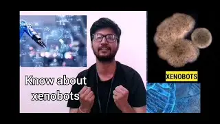 XENOBOTS, what are they?