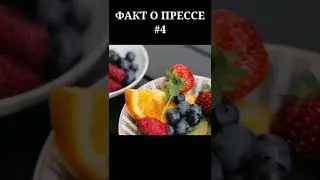 Факты о прессе #shorts
