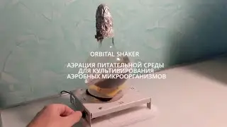 Orbital Shaker DIY