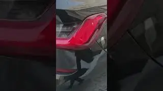 BMW M3? Такие точно встречаются в природе?