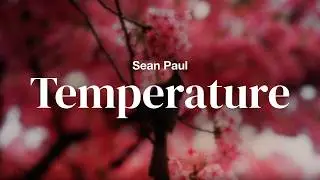 Sean Paul - Temperature | Lyrics