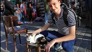 Стамбул, Турция (ASMR, Коты, Достопримечательности, Барбершопы, Еда и др.)