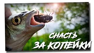 How to catch on a tackle for a chub!