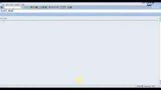 SAP Workflow Class14 BOR Delegation