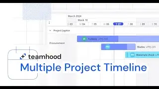 Multiple project timelines at a single glance