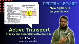 Active transport | Primary and Secondary active transport | class 11