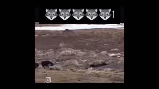 Огромный 