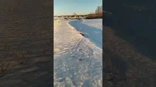 неожиданно. утка среди снега. #мойуаз #офроуд #уазпатриот #автотуризм #зима