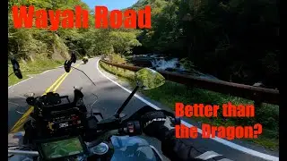 Better than the Dragon?  Wayah Road!