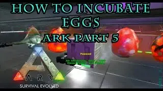 How to easily incubate a Dino Egg