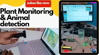Real-time Plant irrigation, disease, and animal detection using Raspberry Pi 4 #embeddedprojects
