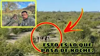 El sonido de la noche, en el de5iert0 #desierto #sonora #inmigracion #inmigrantes #mojados