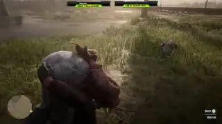 You Ain't Blind - Red Dead Redemption 2 (Twitch Highlight)