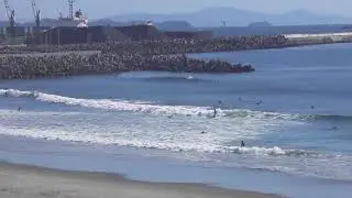 250919 仙台新港 2025年9月19日(金) 午前8時45分 コシ～ハラ