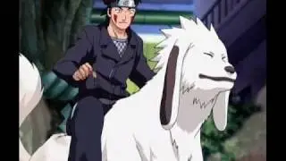 kiba tribute