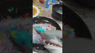 MAKING CANDY NERDS GRAPES W SHARK PUPPET