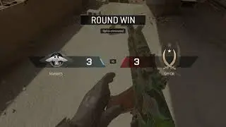 Proofies1