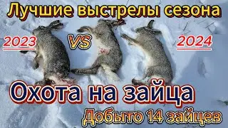 ОХОТА НА ЗАЙЦА! ЛУЧШИЕ МОМЕНТЫ 2023-2024.