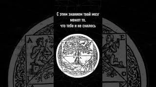 Мнемотехника – это лучшее, что вы можете изучить в своей жизни #мнемотехника #мнемоника #алексгрук