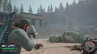 Days Gone Южный юг