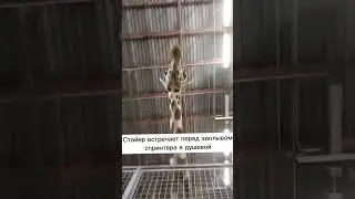 Вы почему такой высокий