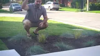 Creating a Stunning Landscape with almost ZERO Florals Part 2