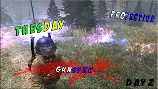 DayZ GUN SYNC №6.1 