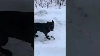 Как же люблю вот так- когда устали все ❤️❤️❤️