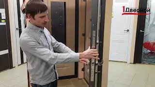 Обзор двери 