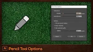 #21 Pencil Tool Options and Extras | Adobe Illustrator For Beginners Tutorial [FREE]