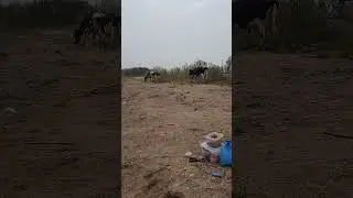 Рыбалка на Большие Аллаки!!!! Пляж!!!