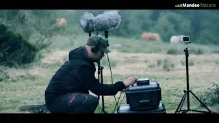 El Sonido de la Naturaleza | The Sound of Nature