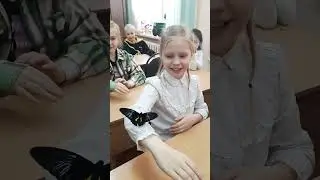 Куколки тропических бабочек