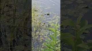 У каждого своя рыбалка #fishing #рыбалка #любимоехобби