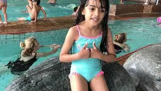 Un Dia En La Piscina
