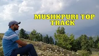 Mushkpuri Top | Mushkpuri Top Hiking | Nathia Gali | Dunga Gali to Mushkpuri Top Track