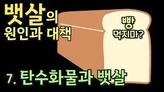 뱃살의 원인과 대책 - 7.탄수화물과 뱃살
