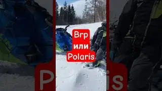 Brp или Polaris ?! 
