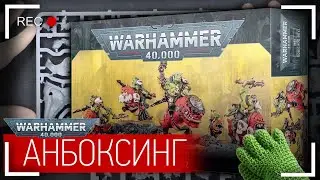 Анбоксинг Squighog Boyz (Warhammer 40000). Что внутри коробки?