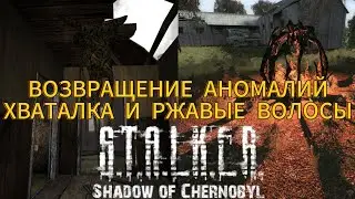ВОСТАНАВЛИВАЕМ АНОМАЛИИ ХВАТАЛКА И РЖАВЫЕ ВОЛОСЫ СТАЛКЕР ТЧ