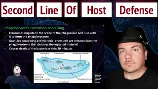 Second Line of Host Defense