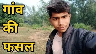 गांव की फसल - Gawn Ki Fasal 🏞️ #dailyvlogs #villagelife #souravjoshivlogs