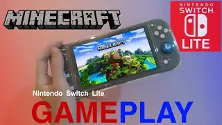 Minecraft Nintendo Switch Lite Gameplay