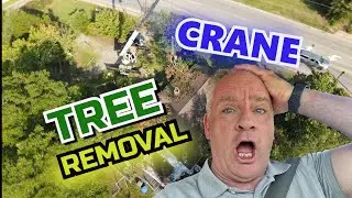 Crane, Massive Tree Removal, Daniel the Adjuster--Free Training