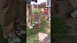 Not as Dumb as it Looks
