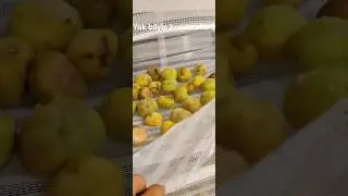 Pratik Kurutmalık:)